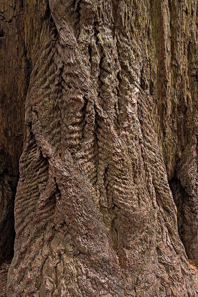 _B003183croof20.jpg