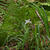 _B003107cr.jpg