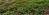 _B003332-croof20.jpg