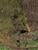 _B003367rot.jpg