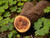 _B003373cr.jpg