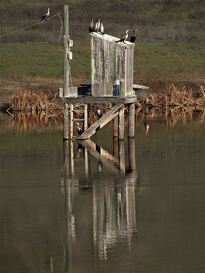  A006453rotoofm