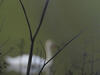  A004170oofm
