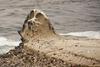 Sample image from gallery