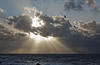  MG 8732rot