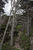  MG 8979ia