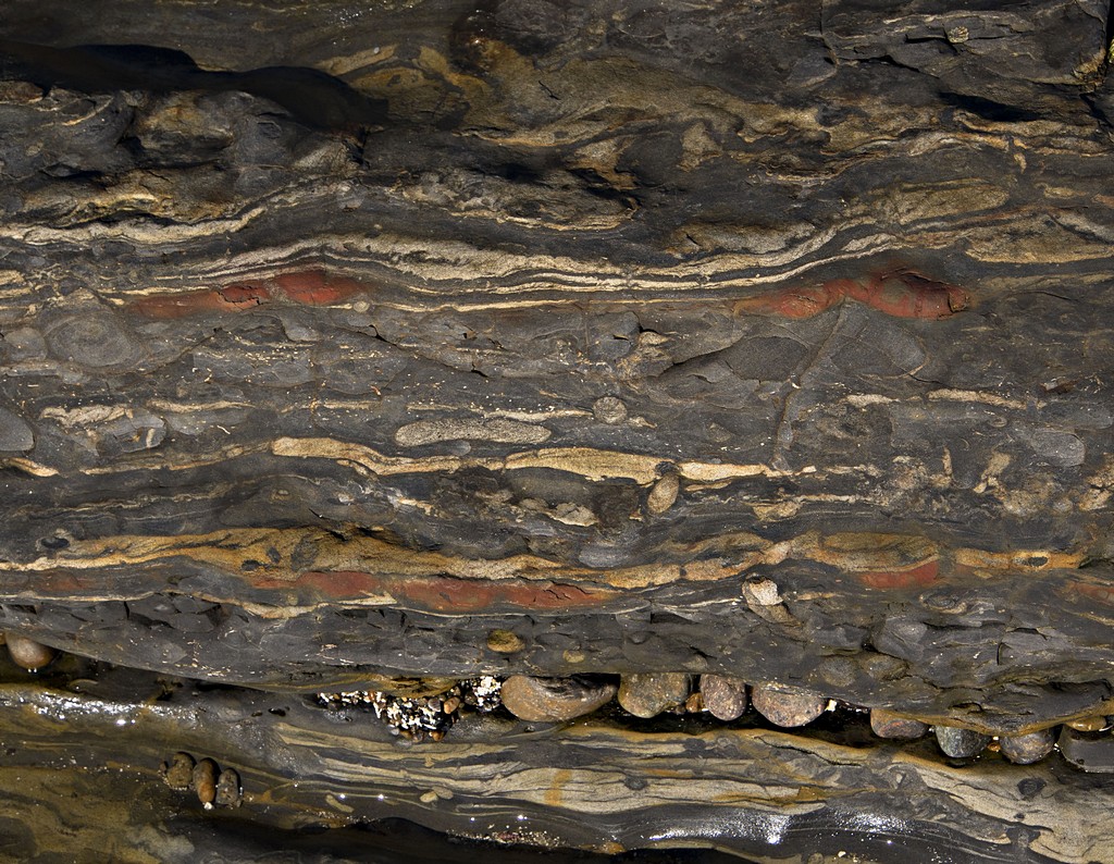  3012406