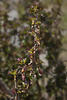  MG 0088ia80