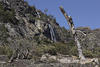  MG 0161ia60