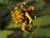 _8030225oofm.jpg