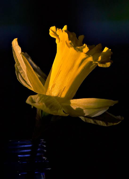 CRW 1139crii