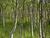 101281952.rXR8fr3m.P7274968