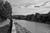 img 6948e b&w stdaii