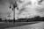 img 6965e b&w stda