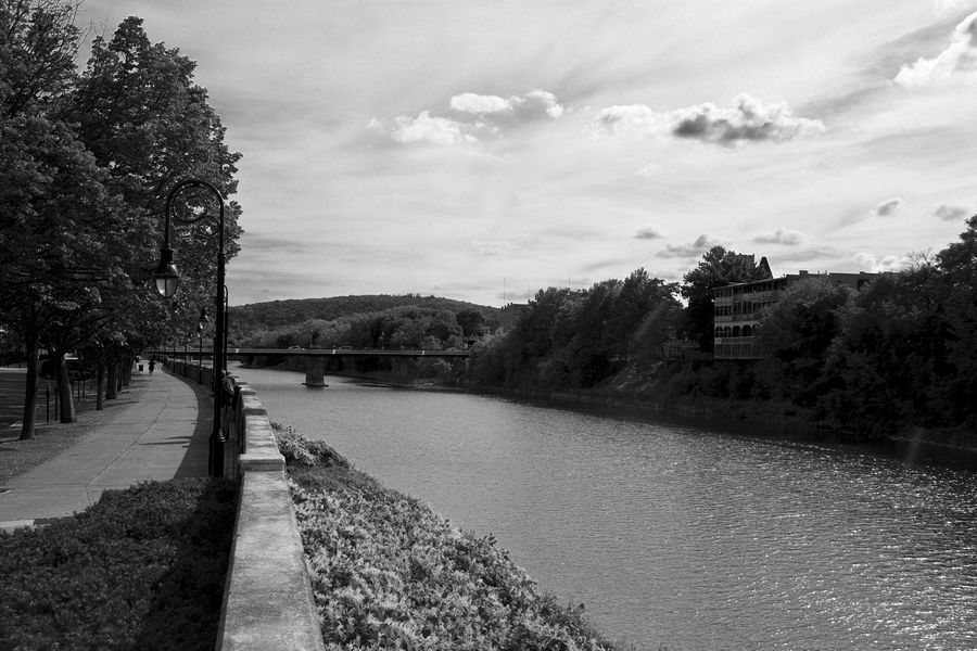 img 6948e b&w std