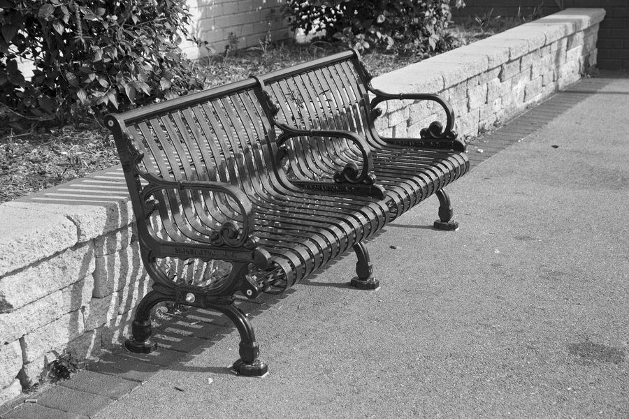img 6971e b&w std