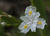  MG 0846cria
