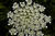 MG 6679ia