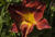  MG 6725-26ii