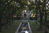 Formal Portrait - Nobody Home