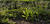 IMG 0022acrcria