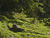 IMG 0024acr