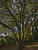 IMG 0046ia
