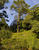 IMG 0057acr