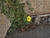 IMG 0040oofm