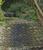 IMG 0049oofm