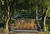 IMG 0083rotcroof30
