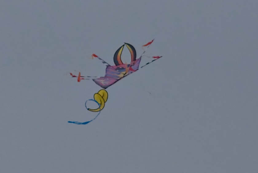 Kite