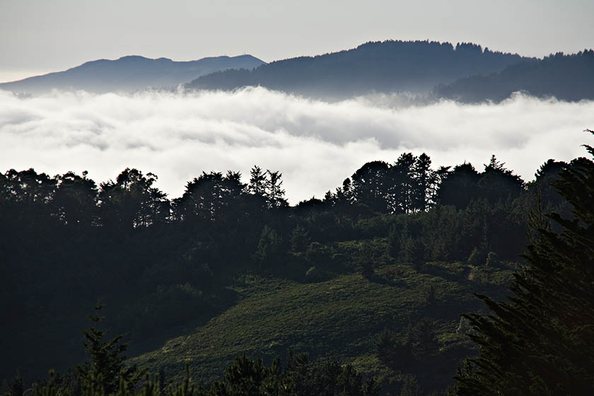 Marine Layer (Fog) V