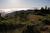 Marine Layer (Fog) I