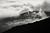 Marine Layer (Fog) III