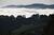 Marine Layer (Fog) V