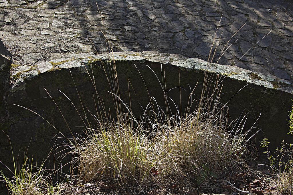  MG 5529oof10