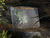 IMG 0185oofm