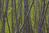  MG 5463oof30m