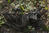  MG 5507oof40