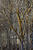 MG 5545oof25