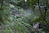  MG 5641oof10