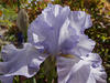IMG 1890ia80