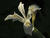  A004614-16oofm