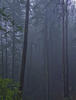 IMG 0223crw