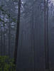 IMG 0223w2