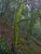 IMG 0218ia