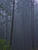 IMG 0223crw