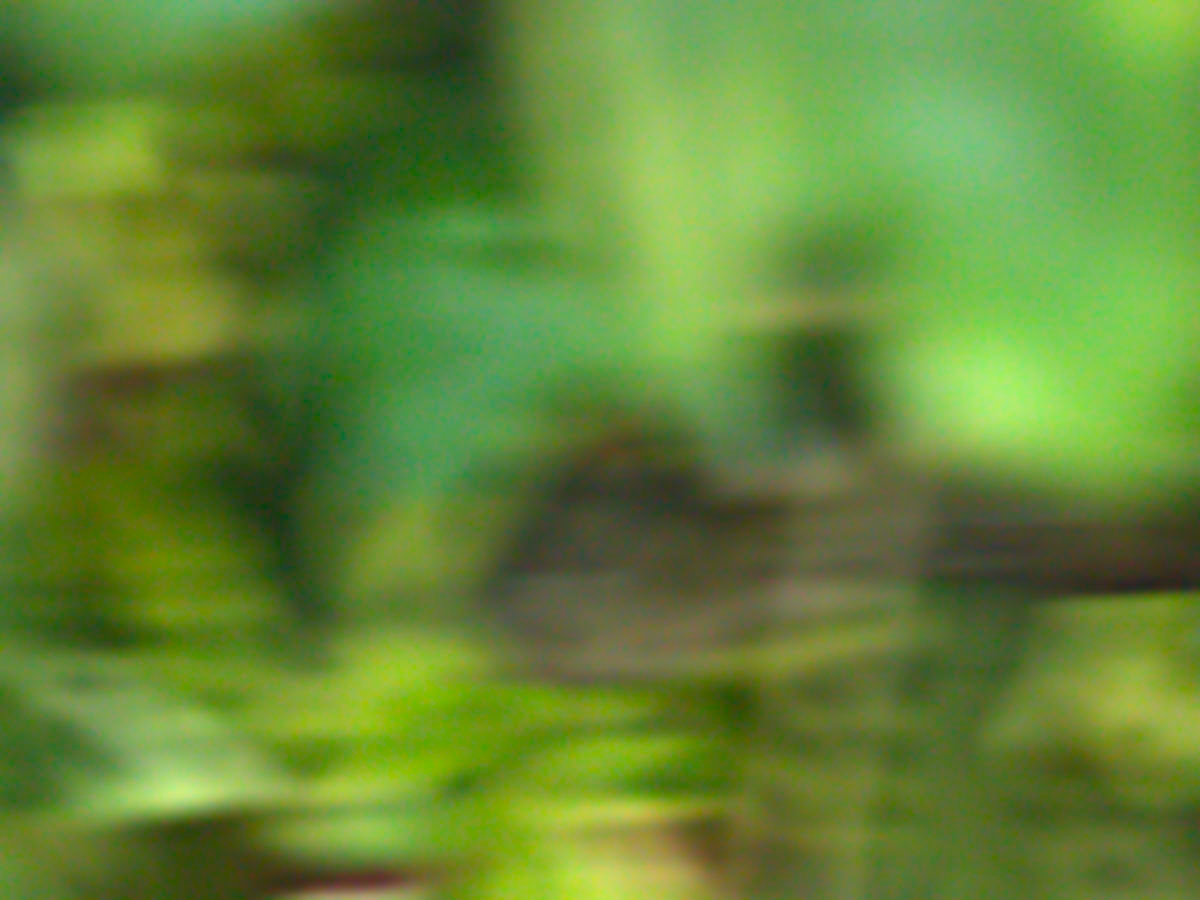 _A003471.jpg