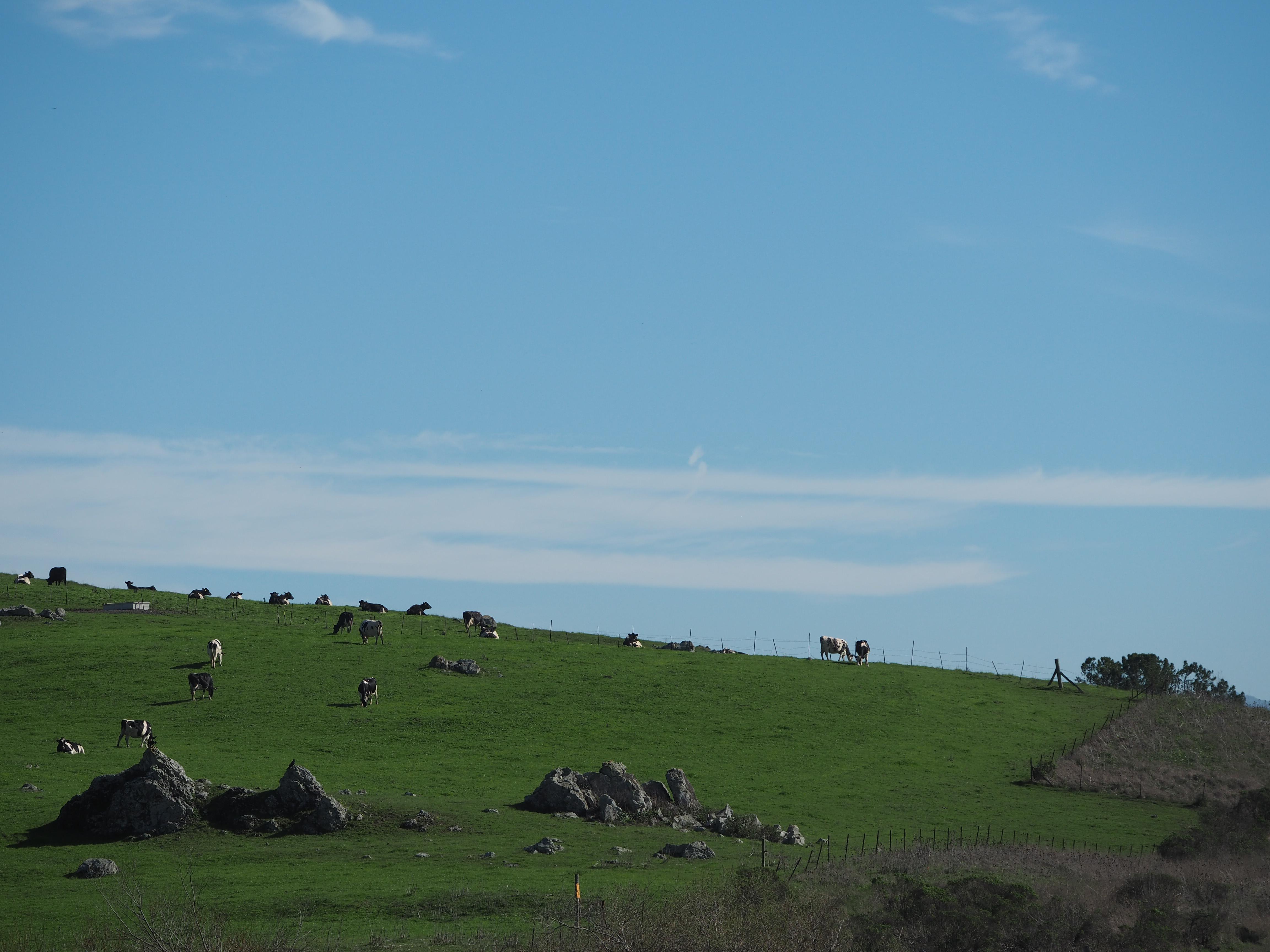 _A004121.jpg